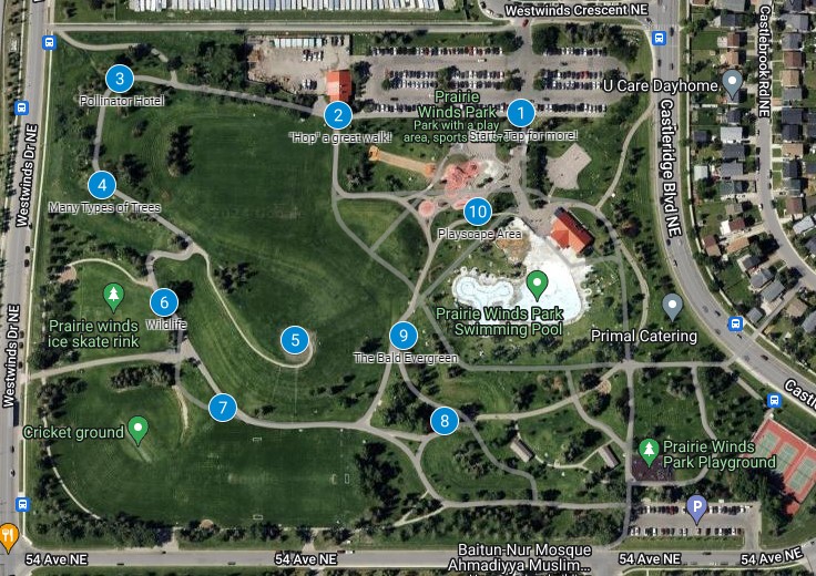 google map