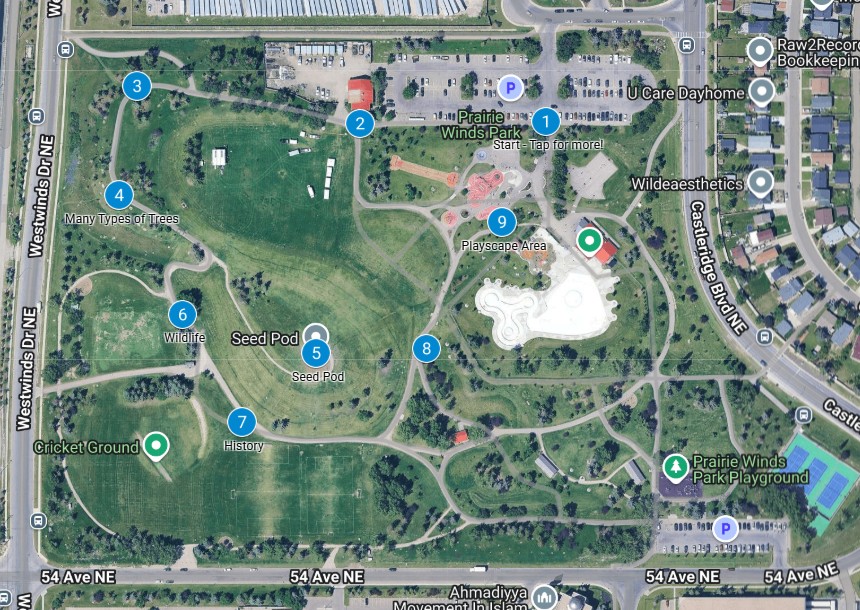 google map