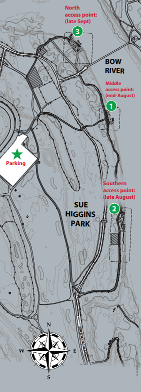 Map of the construction happening in Sue higgins park from August to December 2025