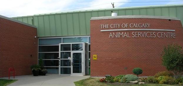 Animal services centre