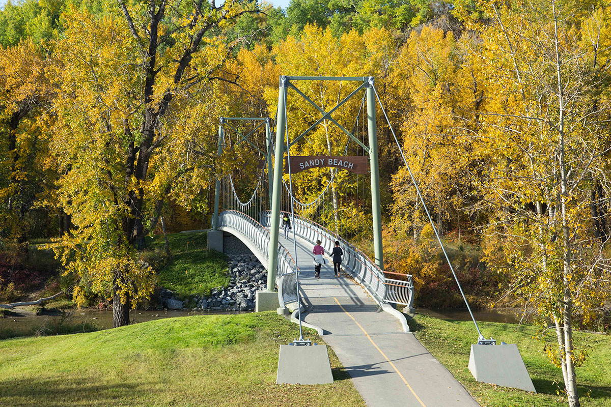 Sandy beach bridge surrounded by trees in fall 