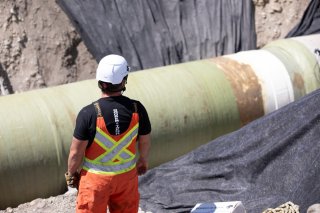 bearspaw-feeder-main