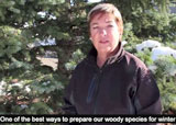 Prepare for winter