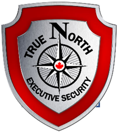 https://truenorthsecurity.ca/
