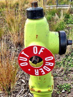 Hydrant Out of Service