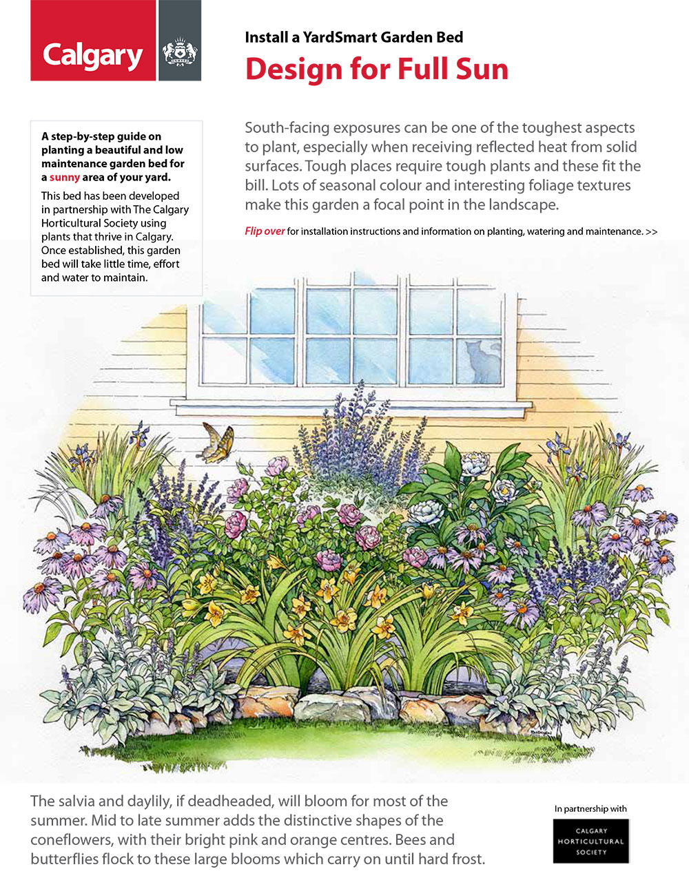 Watering 101 - New, Developing Landscaping