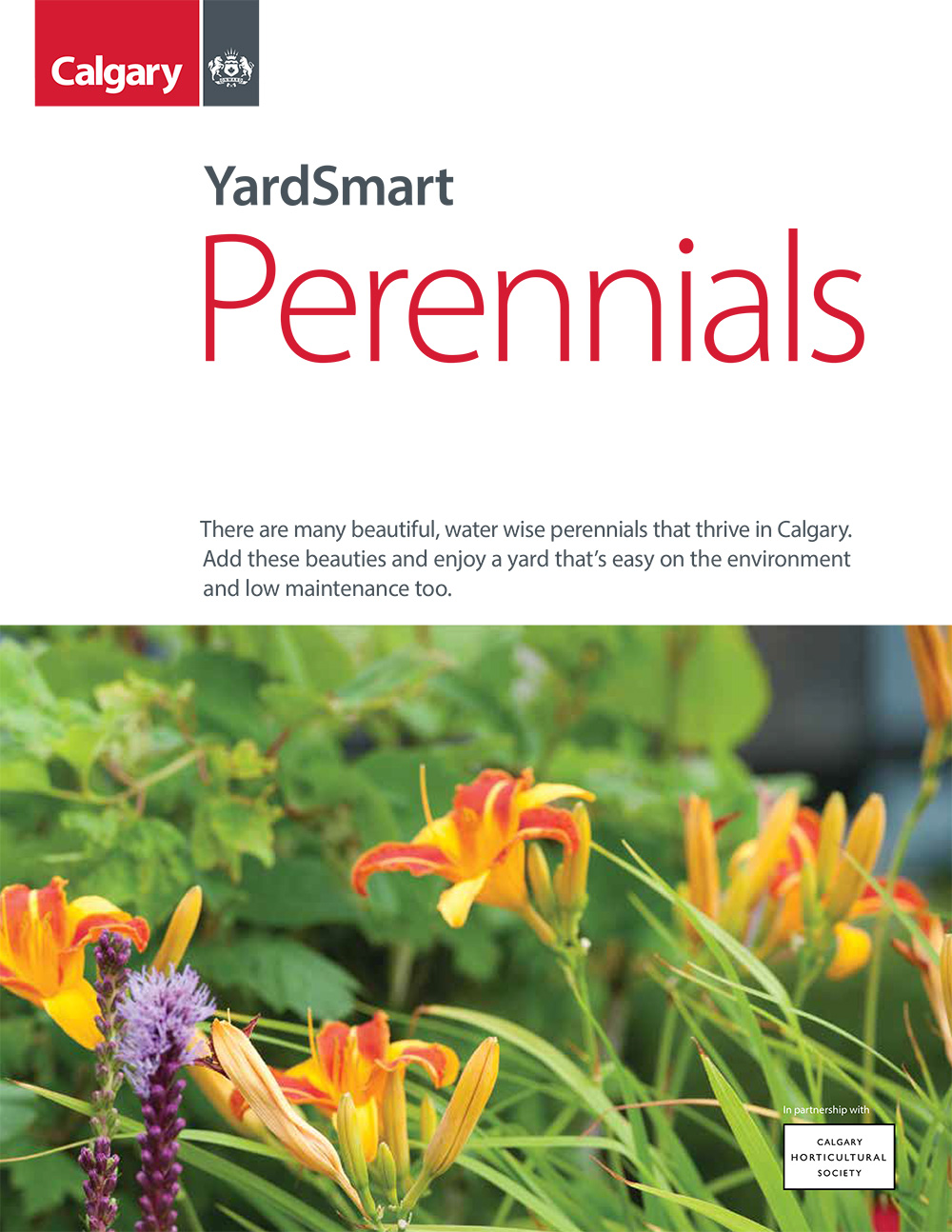Perennials thumbnail image