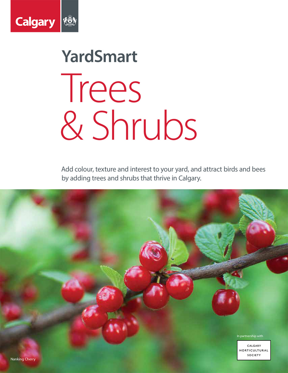 YardSmart Native Wildflowers brochure thumbnail