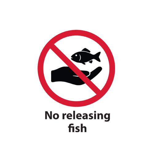 No releasing fish in a storm pond