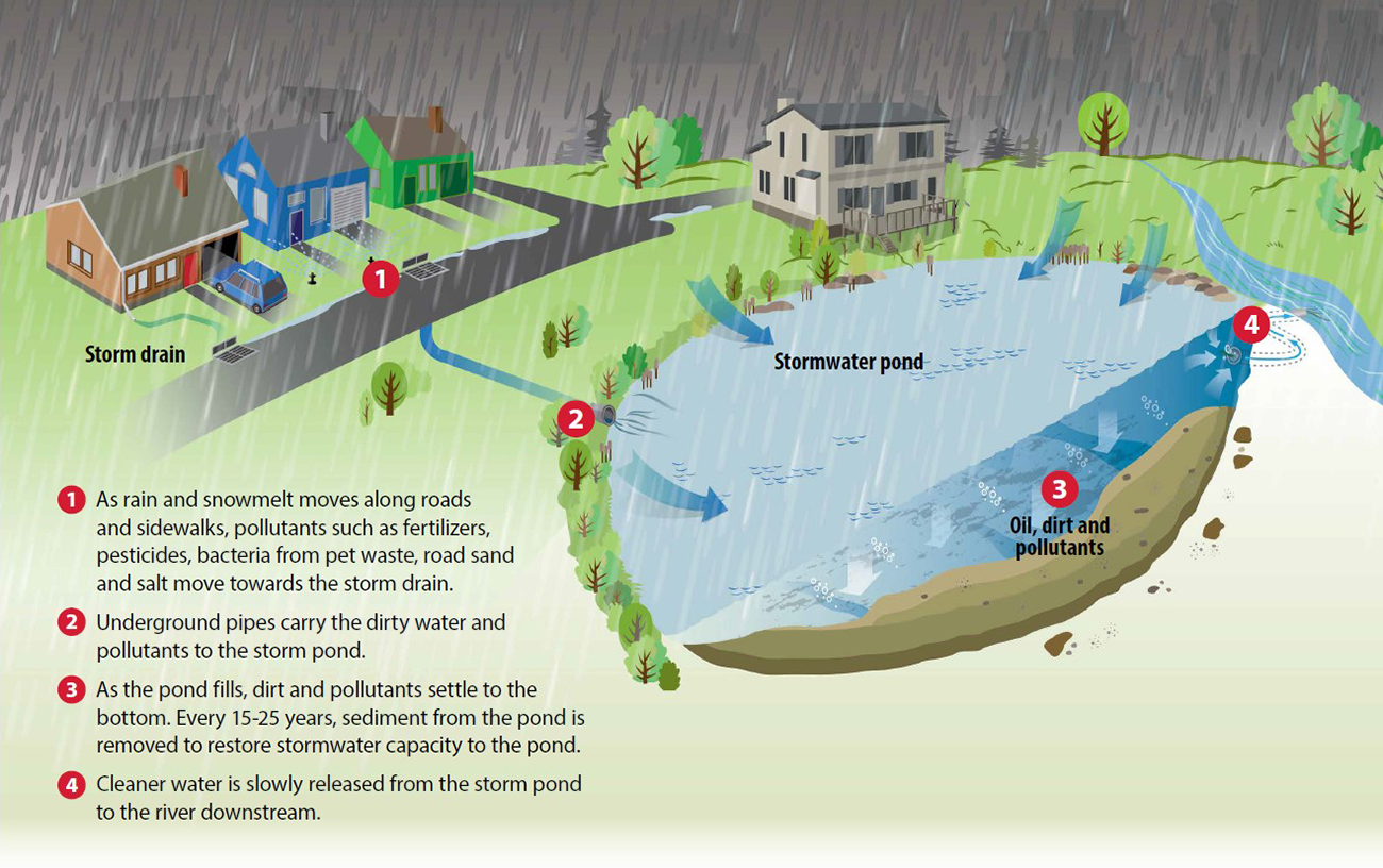Storm pond graphic